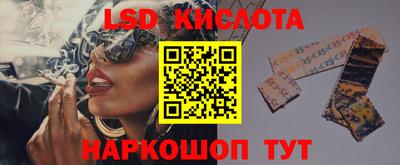 прущие грибы Пушкино