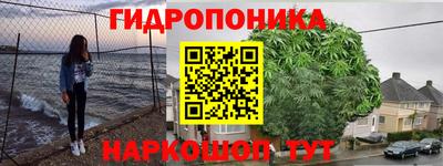 прущие грибы Пушкино