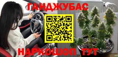 прущие грибы Пушкино