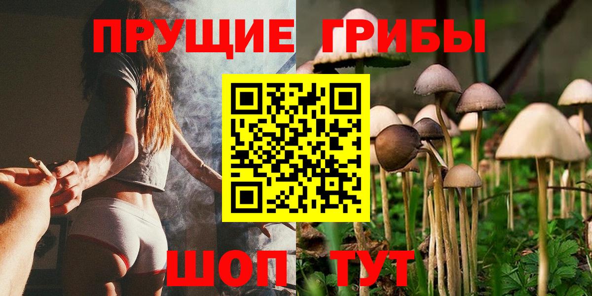 Сафоново  Псилоцибиновые грибы MAGIC MUSHROOMS  Вход с VPN 