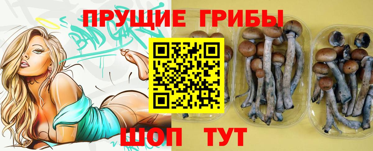 Псилоцибиновые грибы мухоморы Сафоново